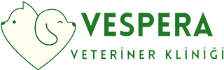 Veterica Veteriner Kliniği